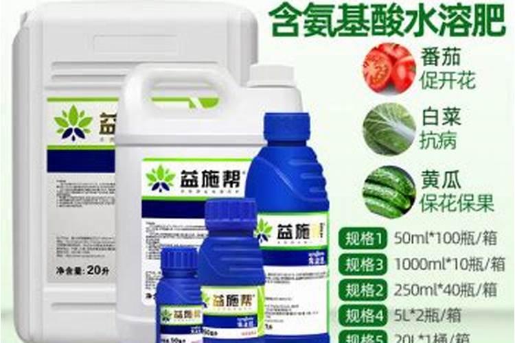 流沙月季怎么养护？