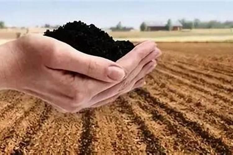 空气污染的主要来源是什么