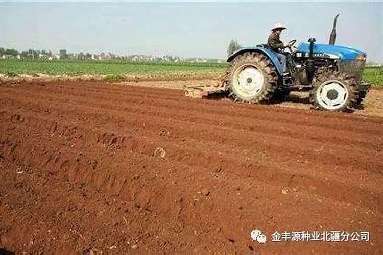 水溶肥为什么结块