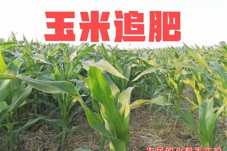 山西新核能肥业有限公司怎么样？