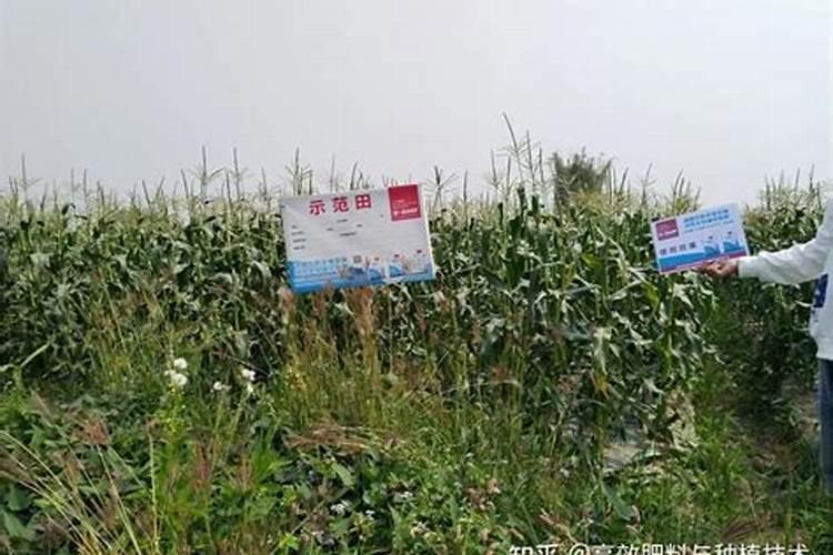 化肥和农药的区别是什么？