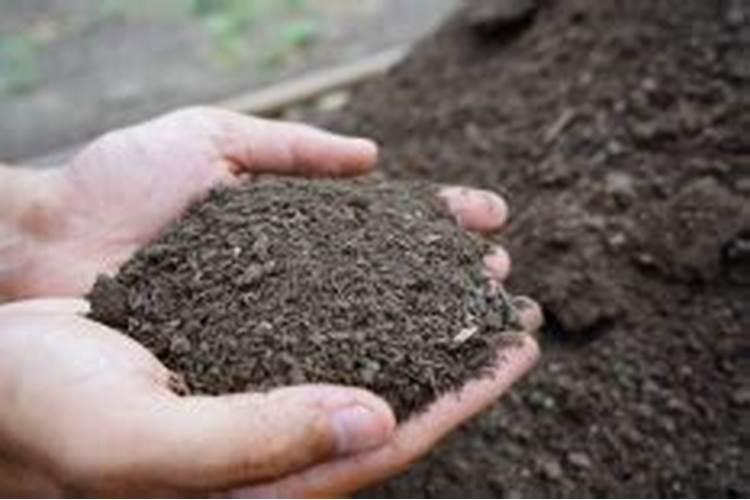 山药用什么办法增粗