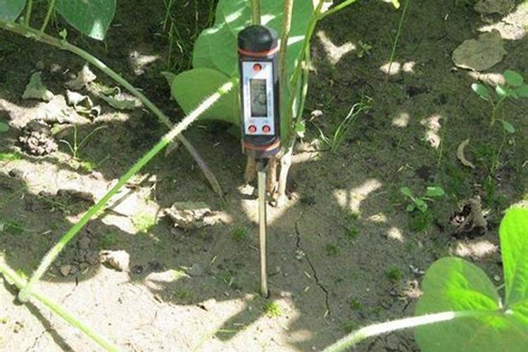 腐植酸的功效与作用肥料