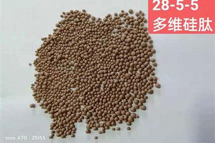 辣椒什么时候施肥施什么肥(种辣椒多久施一次肥最好)