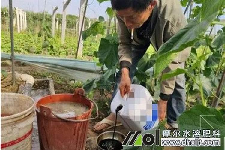 农业硅肥硅元素活化剂有哪些