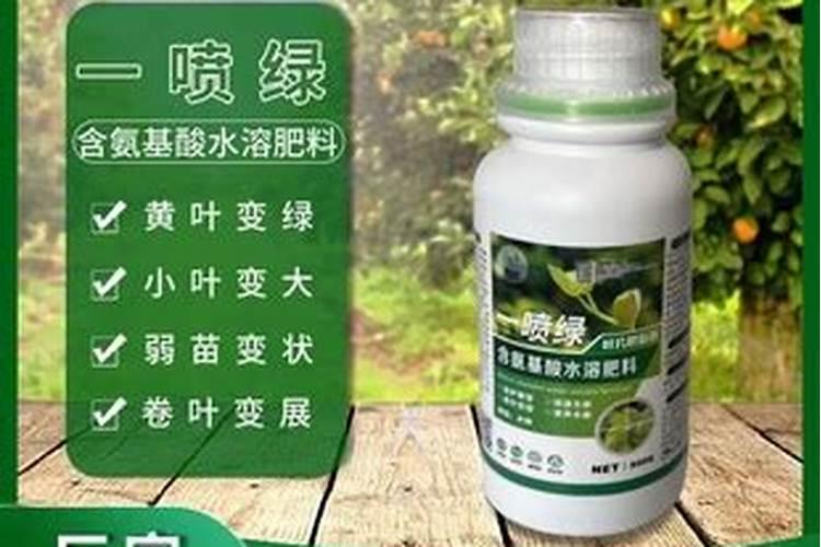 叶面肥喷施时间及叶面追肥技术要点