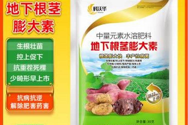 南繁基地对农业发展有何影响？