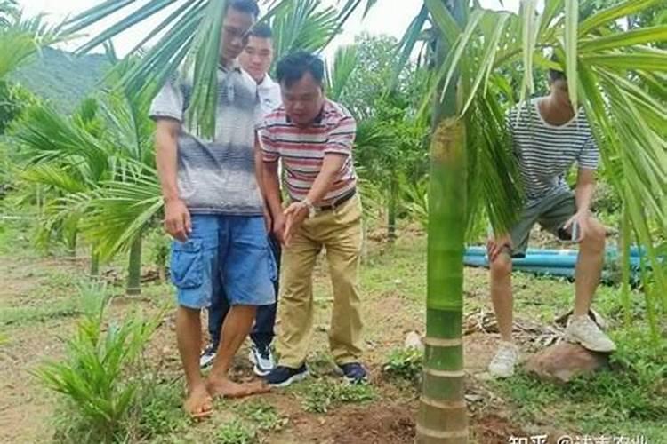 水溶肥用法和用量