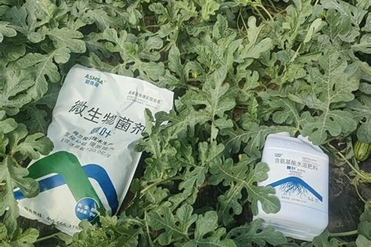 硫酸钾复合肥溶于水吗？可以用作水溶肥吗？