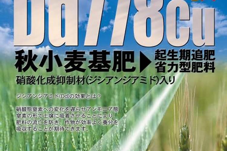 小麦专用复合肥料能给苹果地下吗？