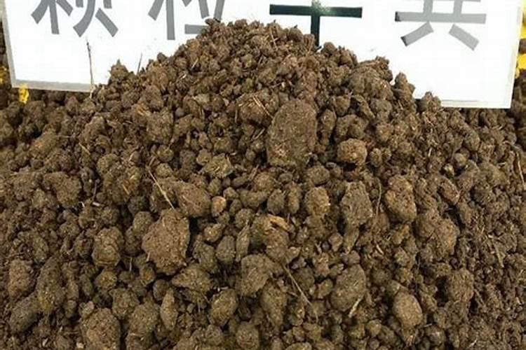 叶面肥加什么浇花最好用