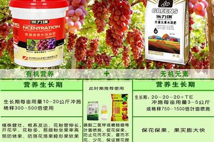 葡萄用什么肥料好