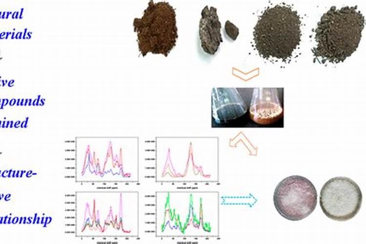 泰山区有哪些乡镇