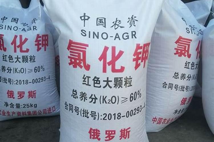 鱼蛋白肥料的使用技巧