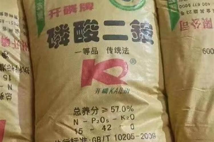 发财树用什么肥料最好？