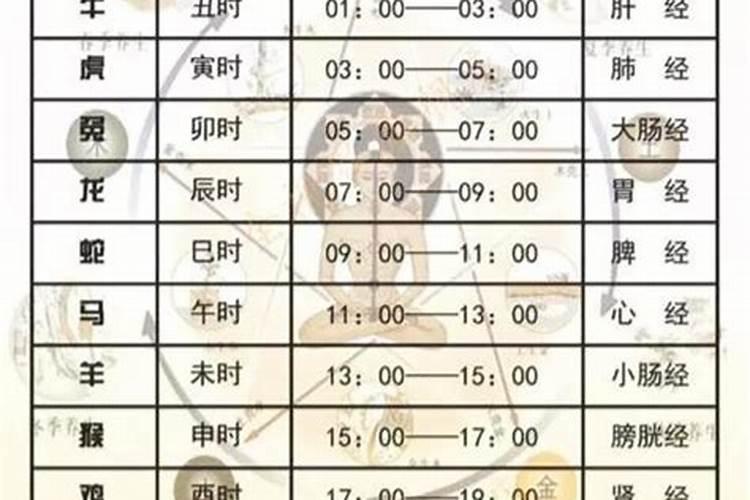 瓜蒌的种植技术管理