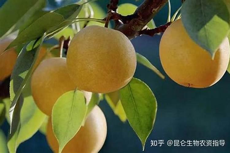 什么化学原料能把毛发融化做成氨基酸水溶肥