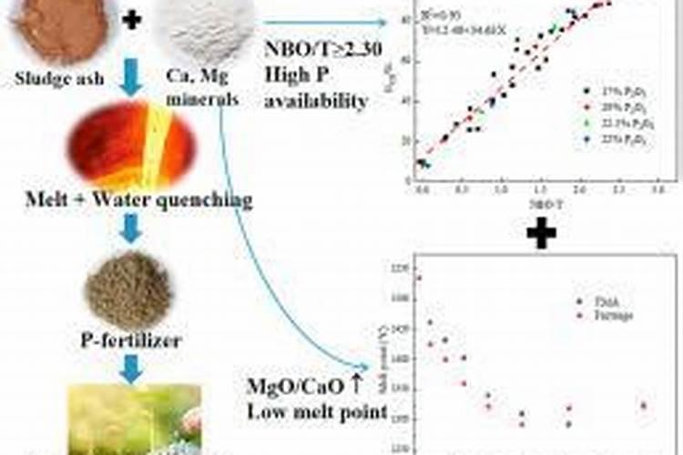 兰花肥发财树可用吗