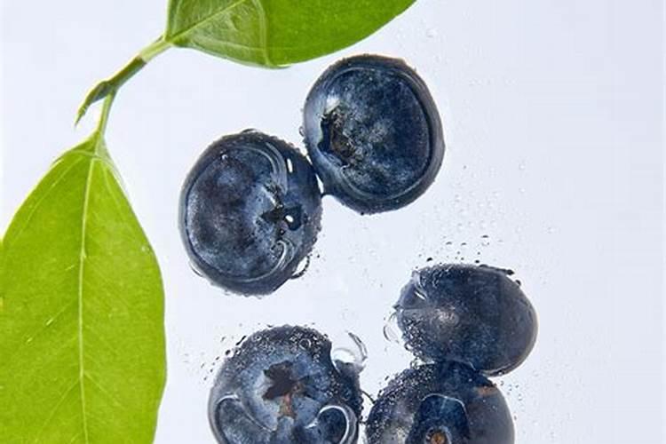 氨基酸水溶肥十大品牌