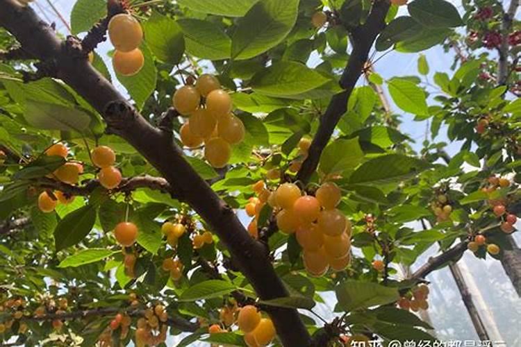 ...的代表？过多施用氮肥的不良后果,是不是农家氮肥比化肥要轻得多？百...