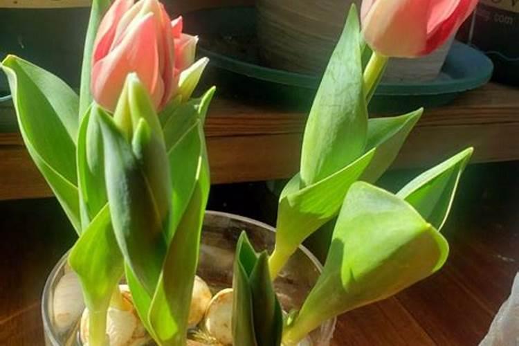 济宁十三中在哪里？