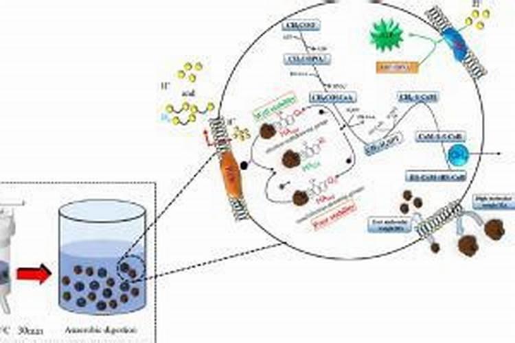 种土豆用什么复合肥最好