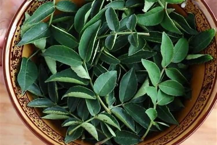 黄杨换盆后多长时间能生根 黄杨换盆多久能生根