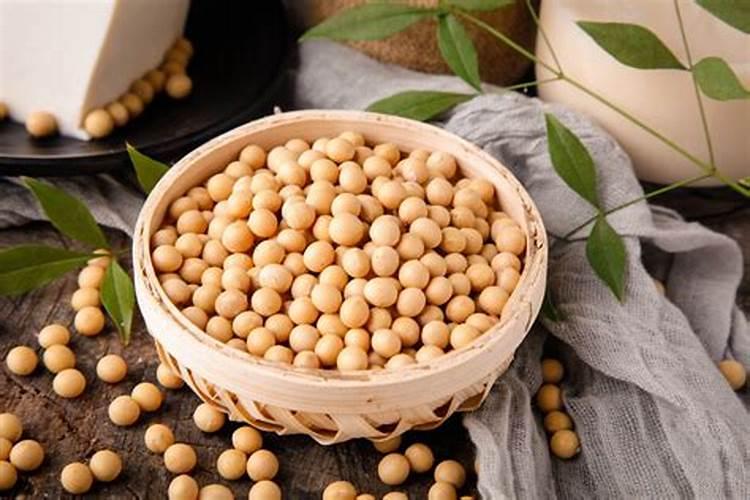 鱼蛋白原浆与鱼蛋白原粉用作植物肥料哪个更好？