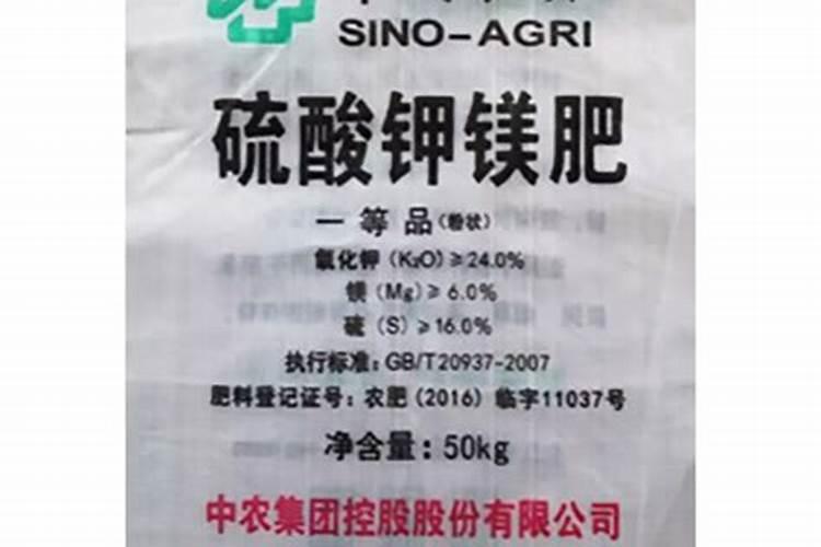 广州市那里有农药批发市场？