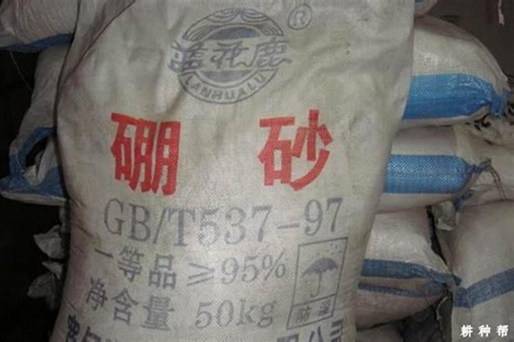 广西最出名桉树肥料