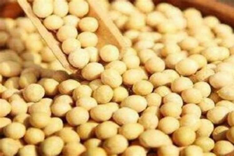 蔬菜底肥放什么肥好(底肥施用方法)