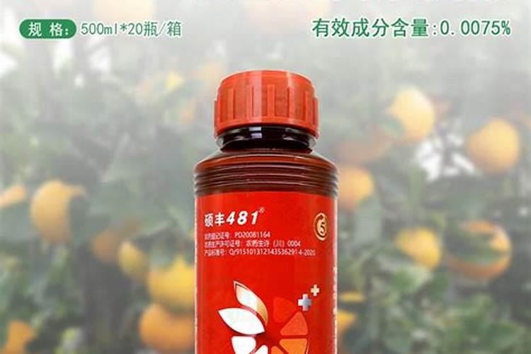 种植大棚西瓜,应该如何进行施肥管理呢？
