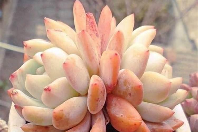 农业知识:我国肥料分类及执行标准大全!