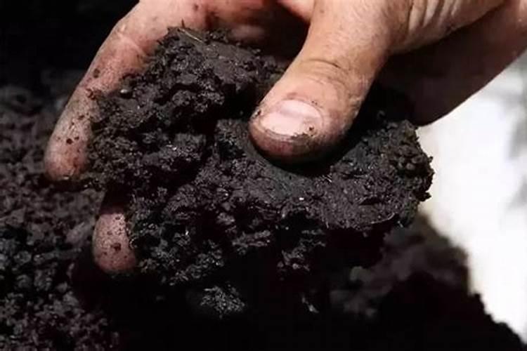 什么肥料可以治盐碱地