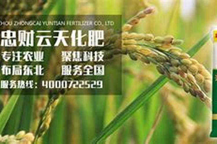 水溶肥十大品牌都有哪些特征!