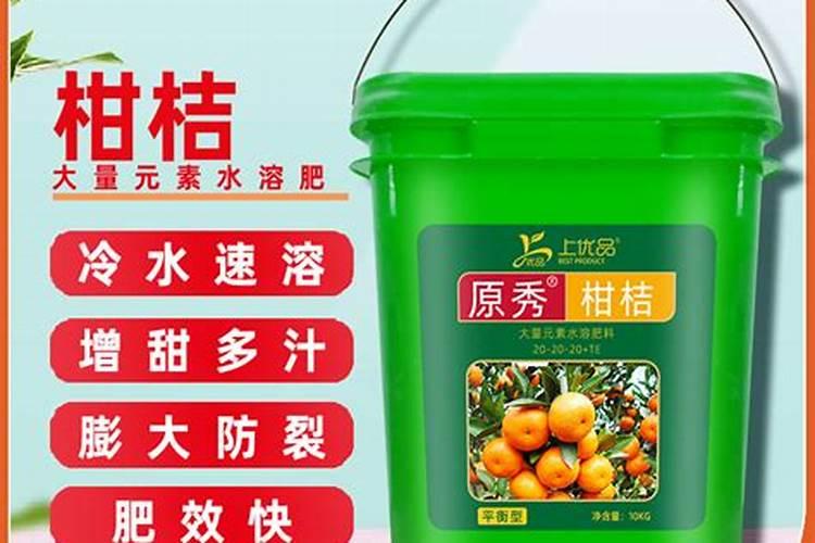 种柑橘用什么肥料最好