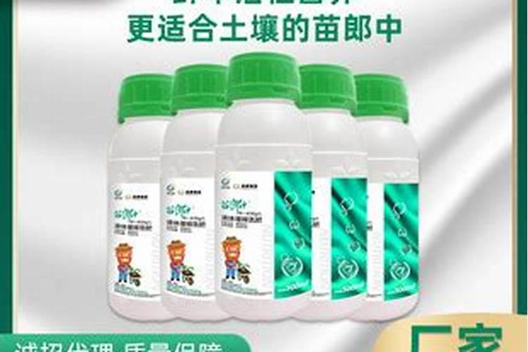 能释放热的氮肥有哪些