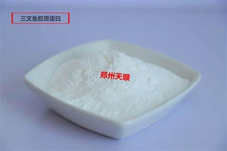 三角梅叶片出现白色斑点是怎么回事？