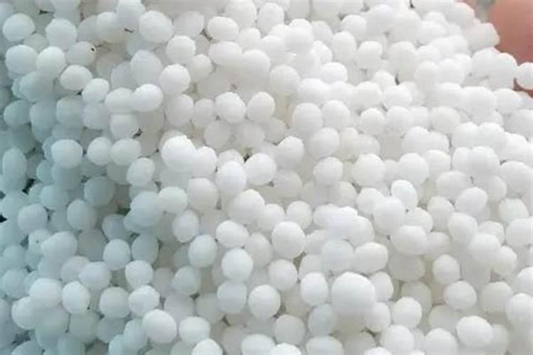 5月份适合种植什么花卉