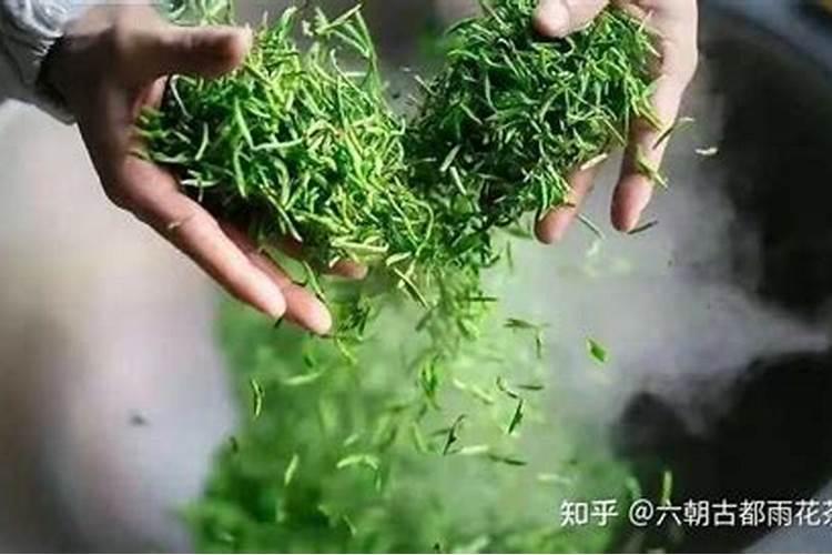 鱼蛋白自制配方