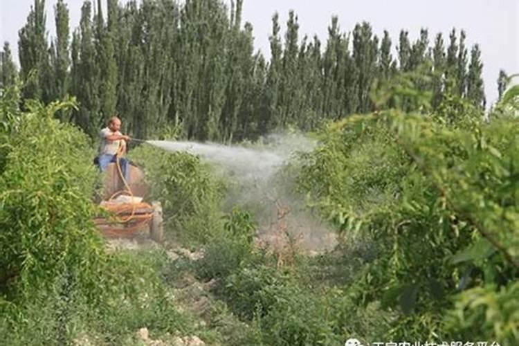 氮磷钾复合肥使用方法,适合什么花