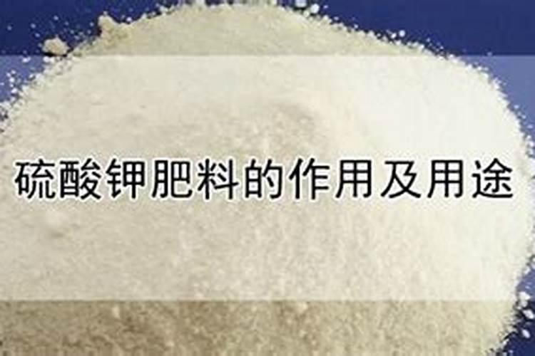 磷酸二氢钾怎样浇兰花