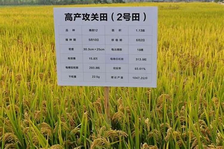 硝酸钾、硫酸钾、磷酸二氢钾、氯化钾都是钾肥,有什么不一样？