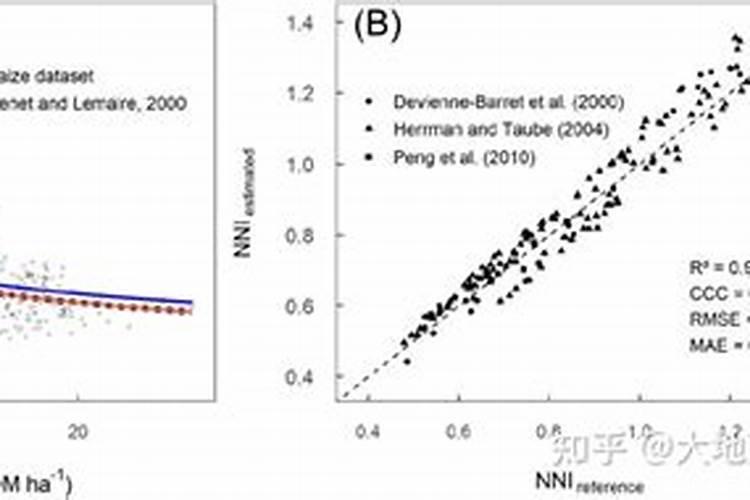 西红柿用什么钾肥好