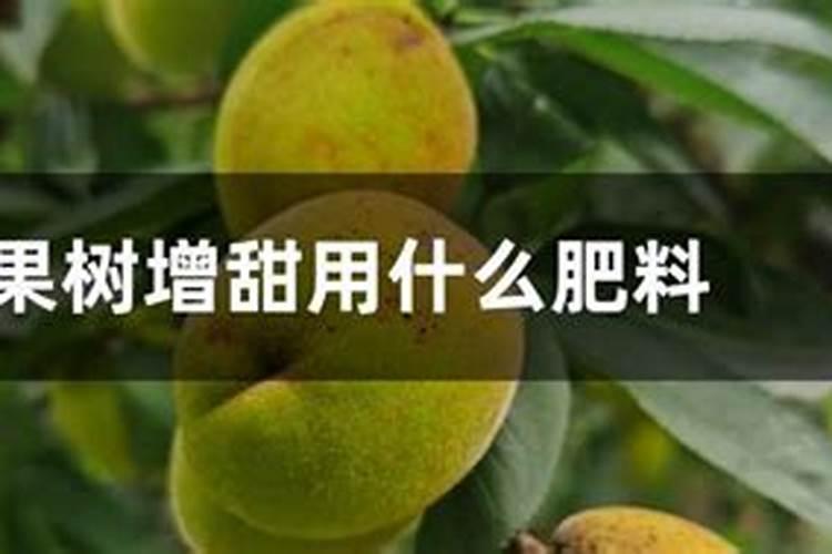 磷肥可以种果树吗？
