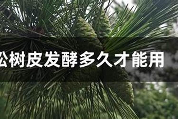 绣球有花苞了该怎么施肥