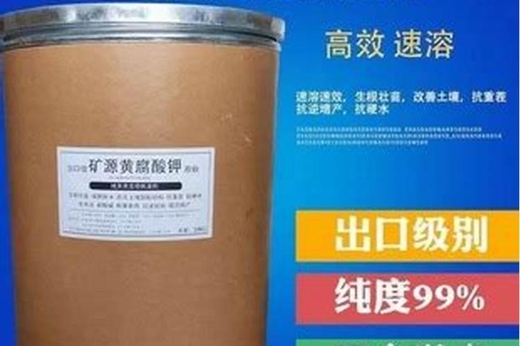 桉树施肥距离树头多远