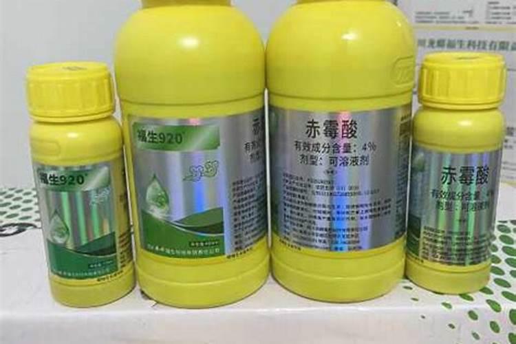 种植氮肥怎么转化