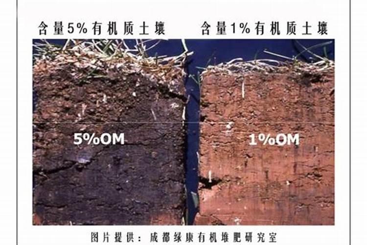 腐殖酸类肥料属于有机肥吗？怎么使用？有哪些注意事项？