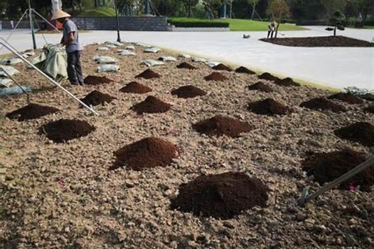 施复合微生物菌剂,对改良土壤有什么好处